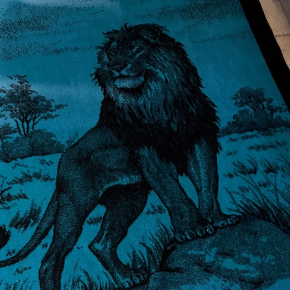 Vintage Gently Loved Reversible Lion Blanket Teal&Black By San Marcos